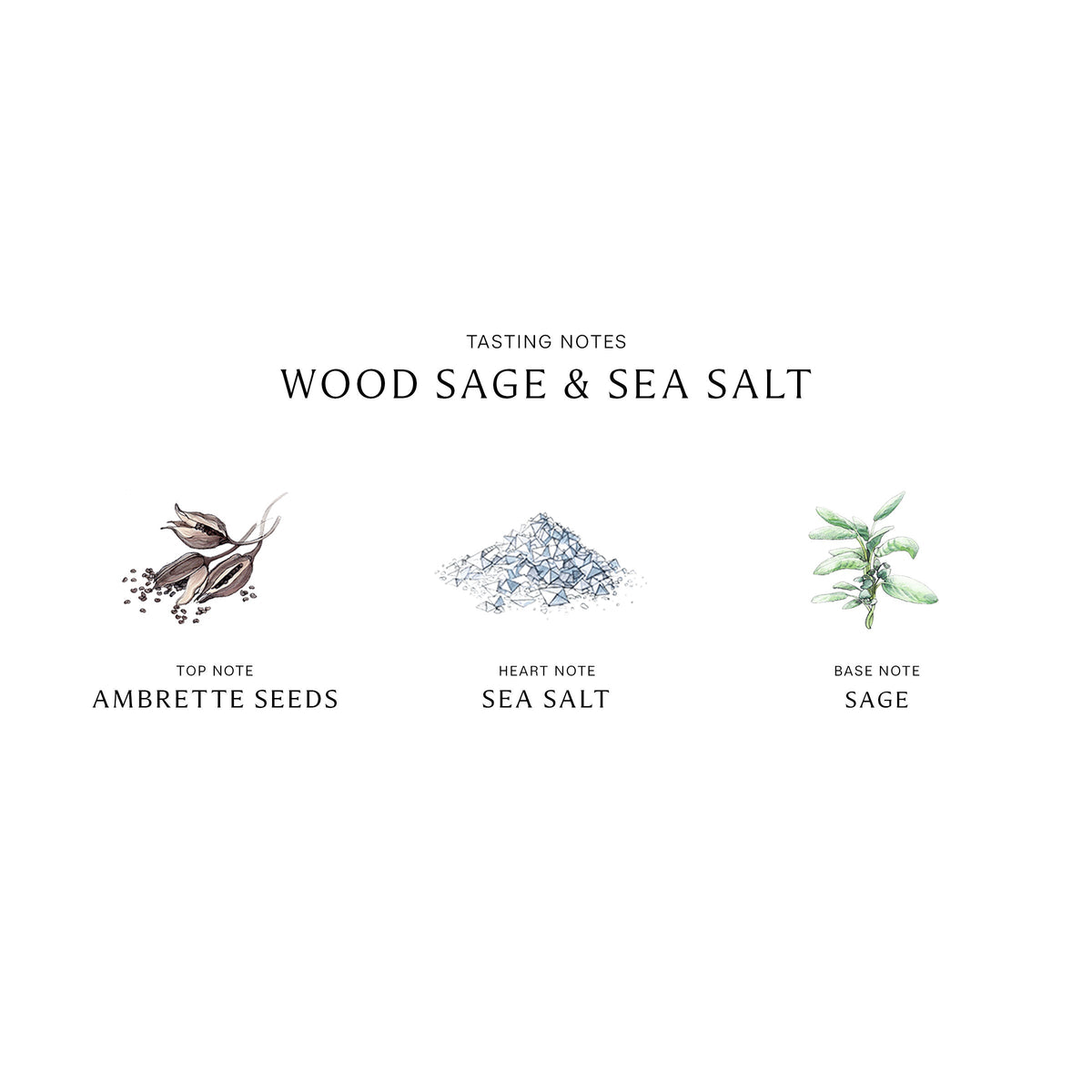 Wood Sage and Sea Salt Cologne