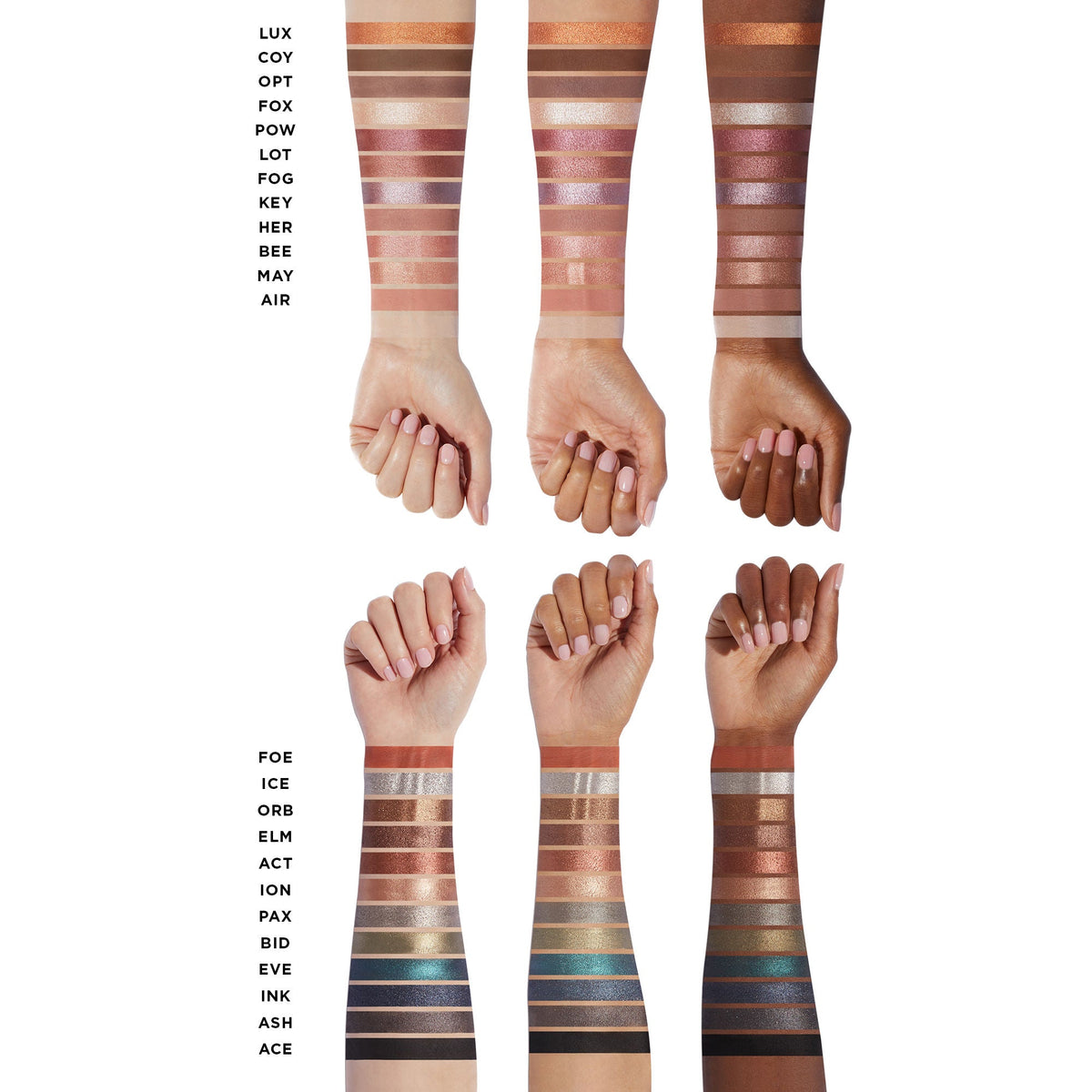 Curator Eyeshadow