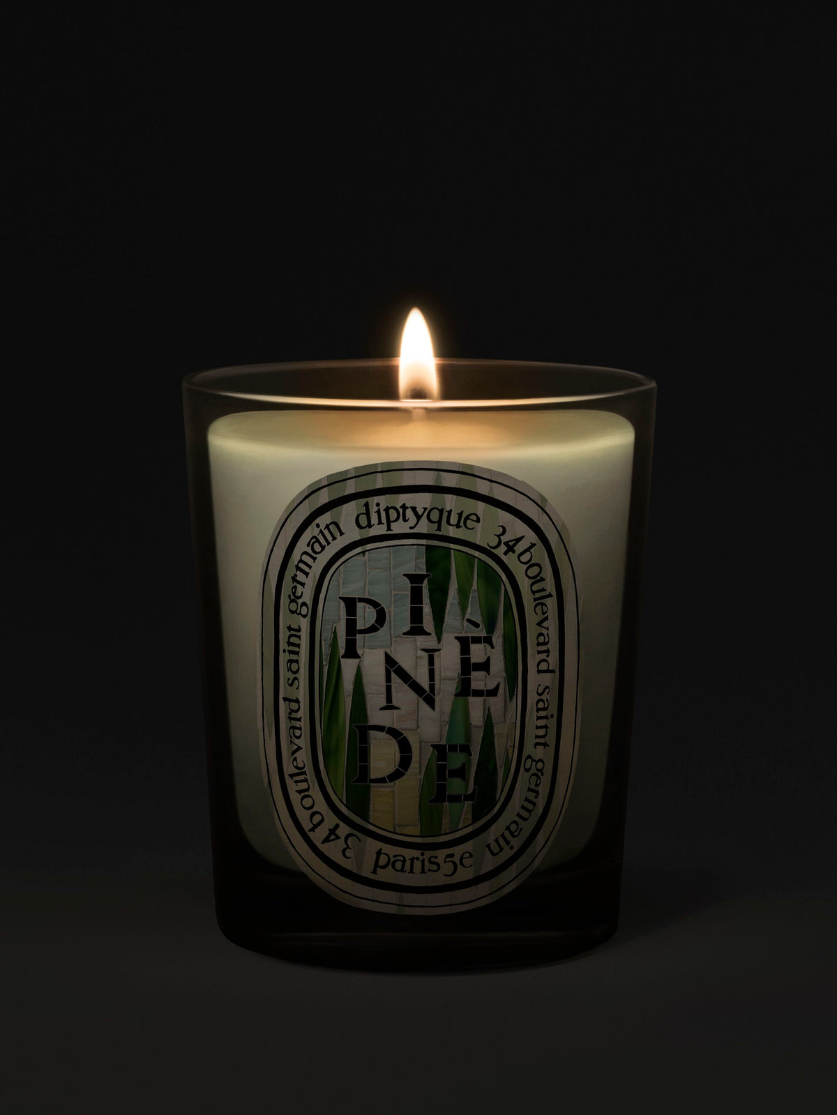Pinède (Pine Grove) Classic Candle