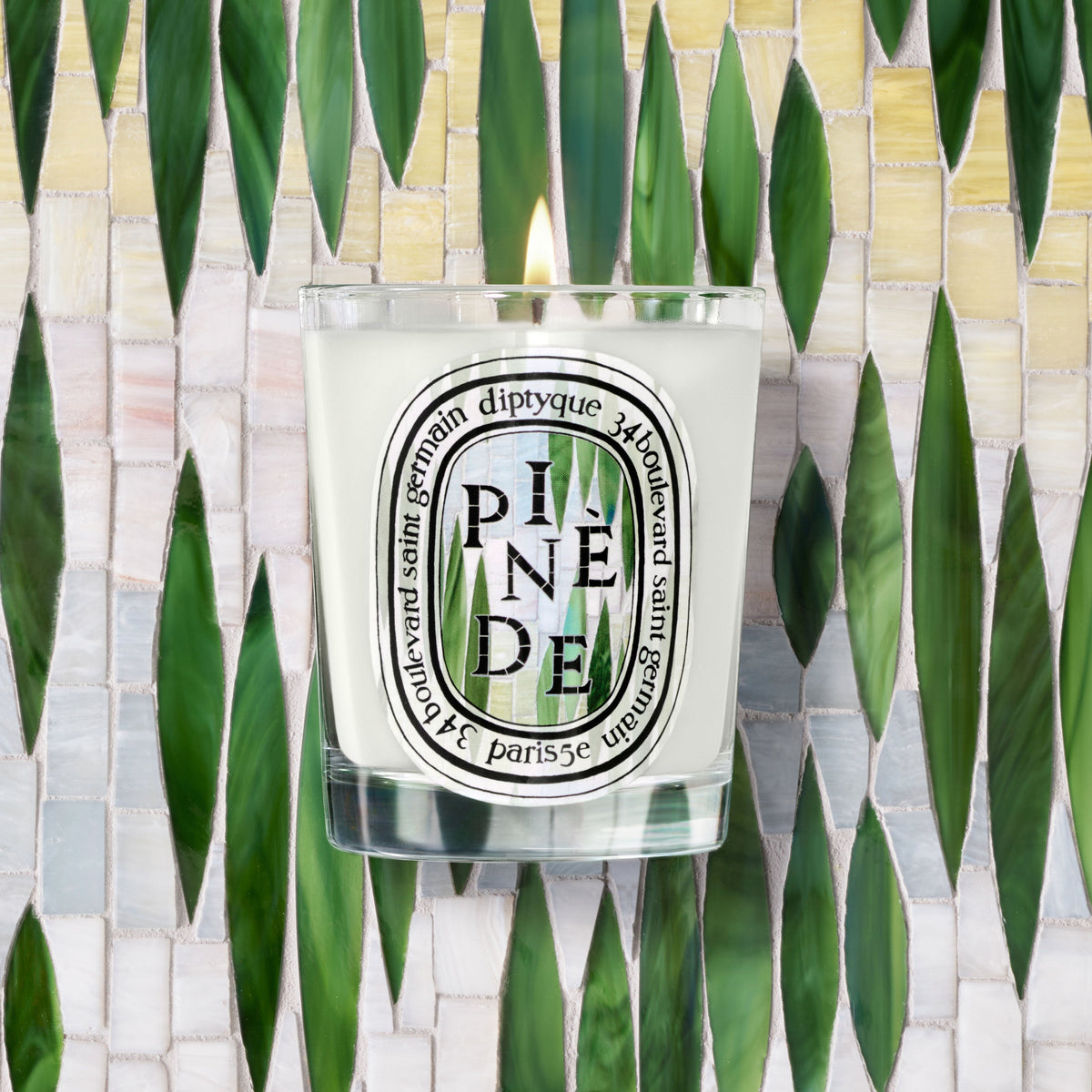 Pinède (Pine Grove) Classic Candle