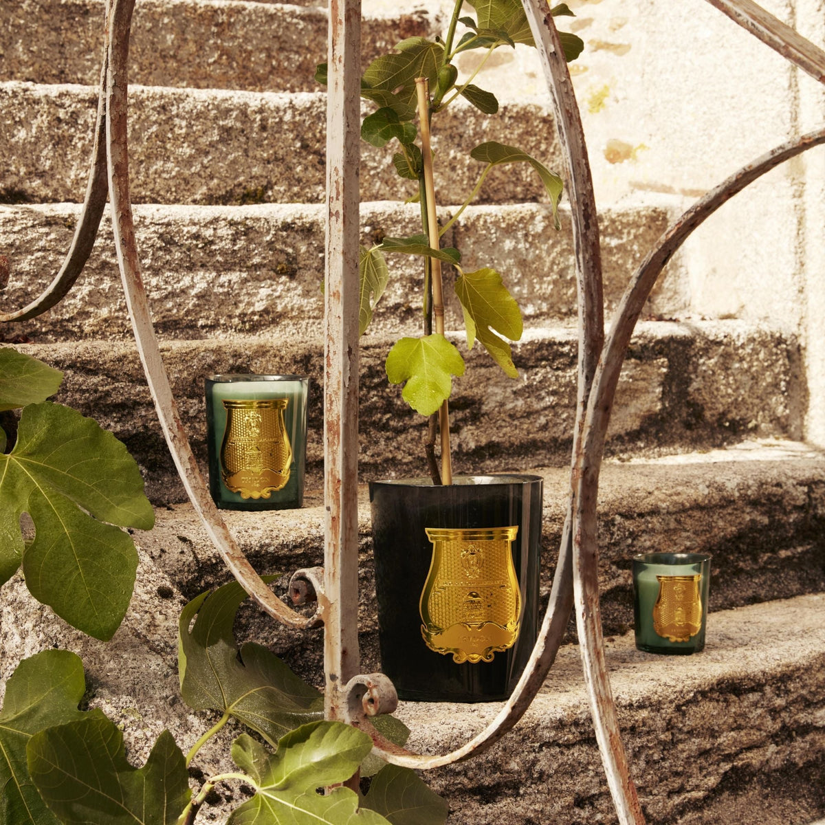 Figuerie Scented Candle