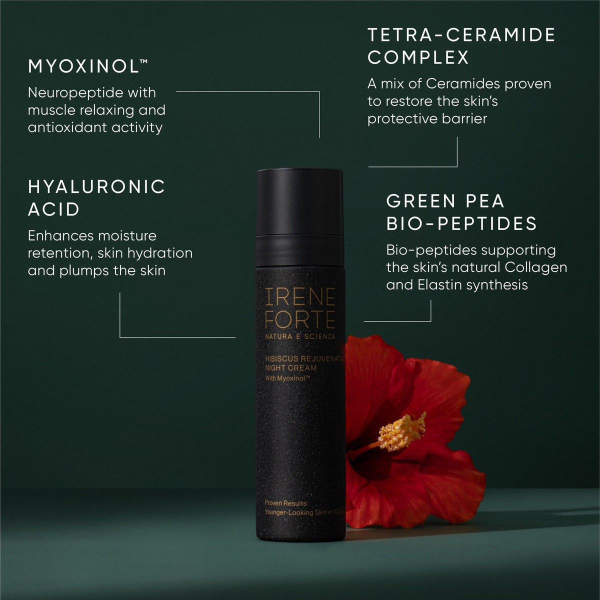 Hibiscus Night Cream With Myoxinol