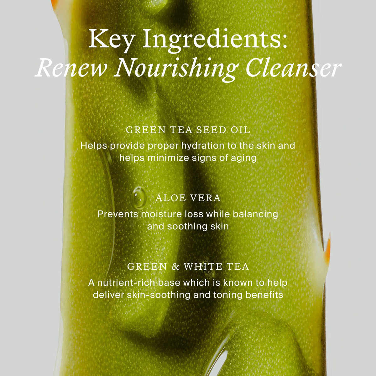 Renew Nourishing Cleanser
