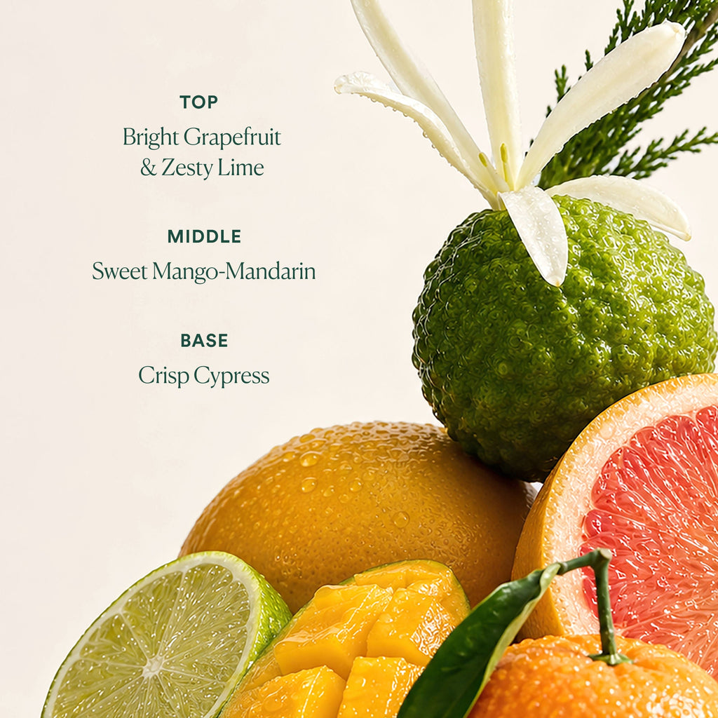 Undaria Uplift Fragrance Mood Oil