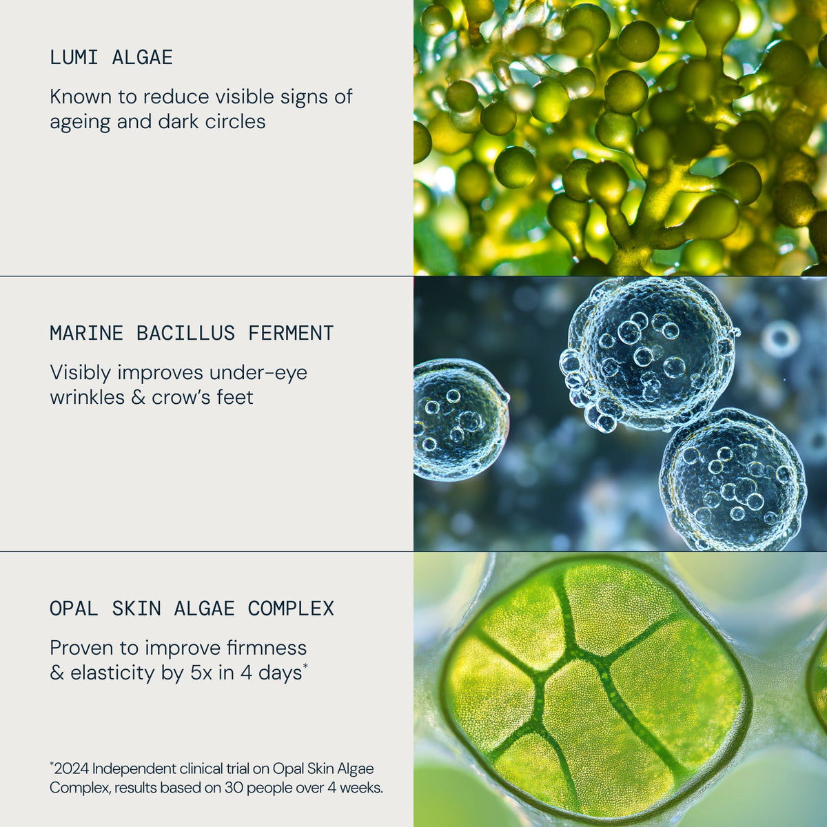 Pro-Collagen Future Restore Eye Serum