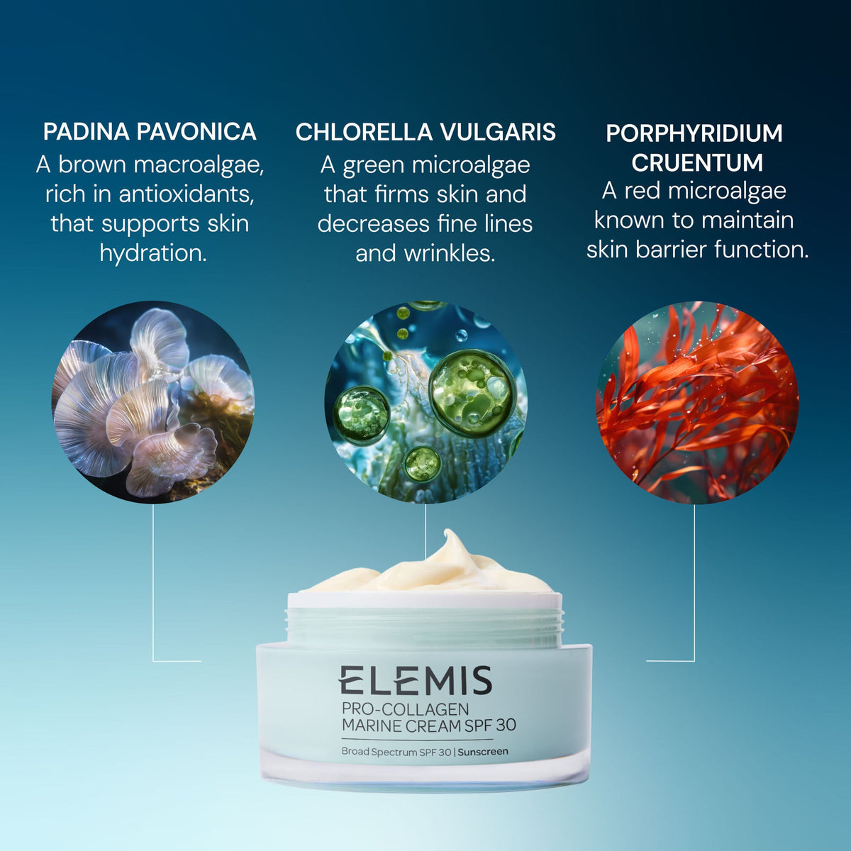 Pro-Collagen Marine Cream SPF 30