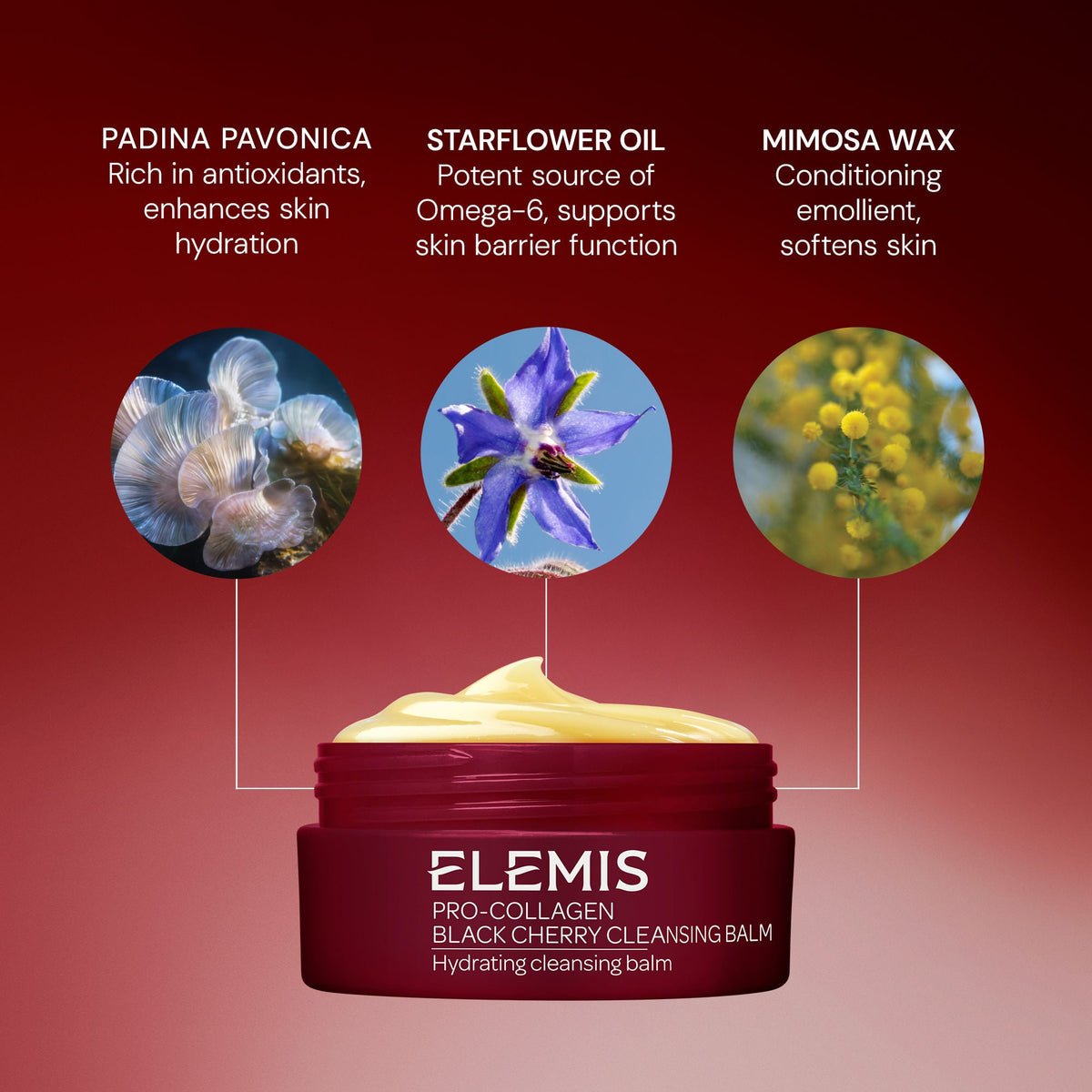 Pro-Collagen Black Cherry Balm