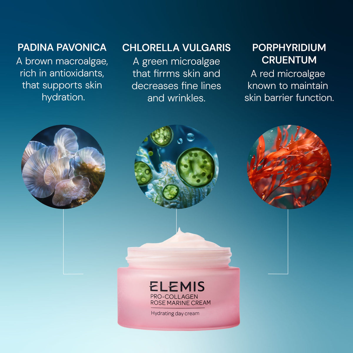 Pro-Collagen Marine Cream