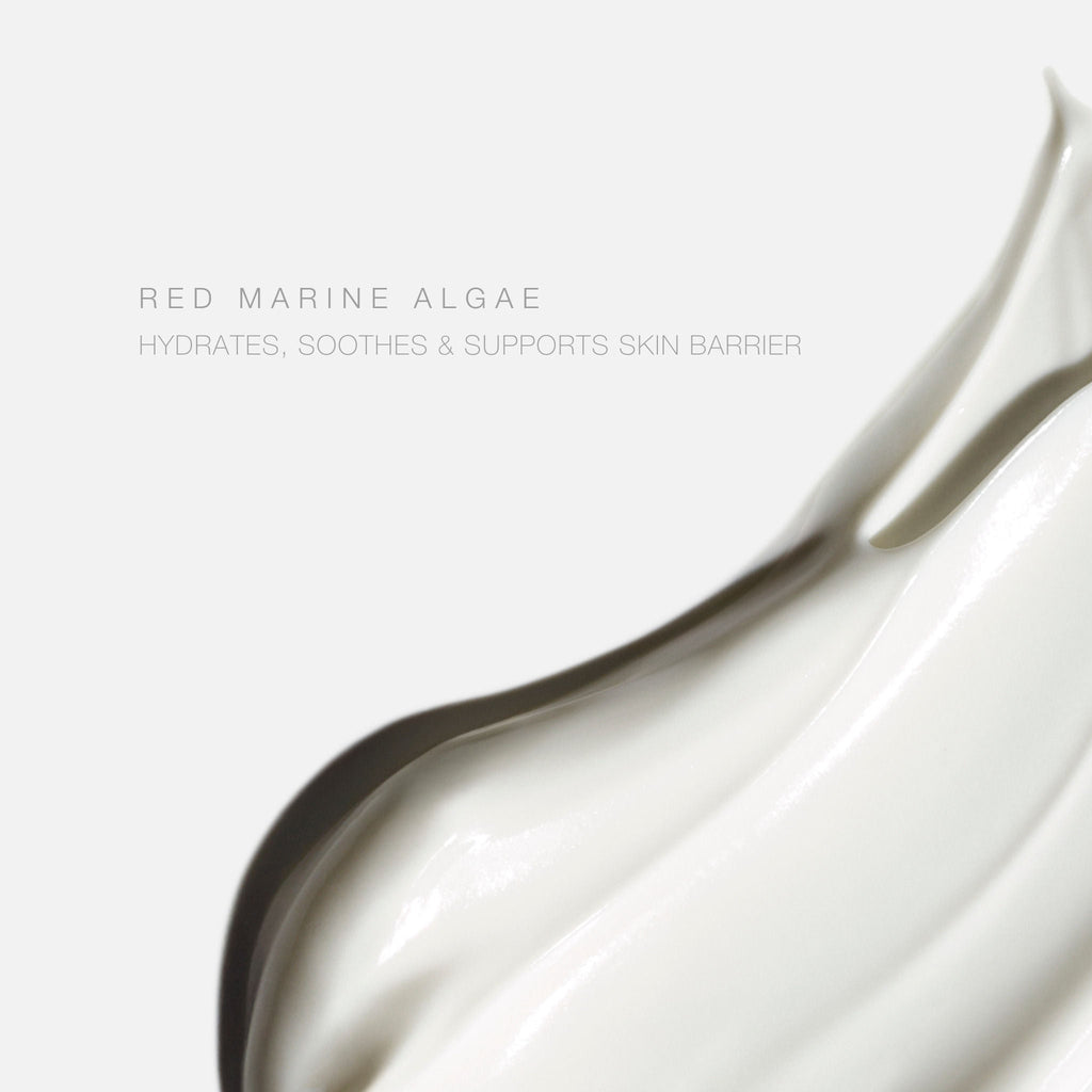 Mineral Sunscreen Body Lotion SPF 30