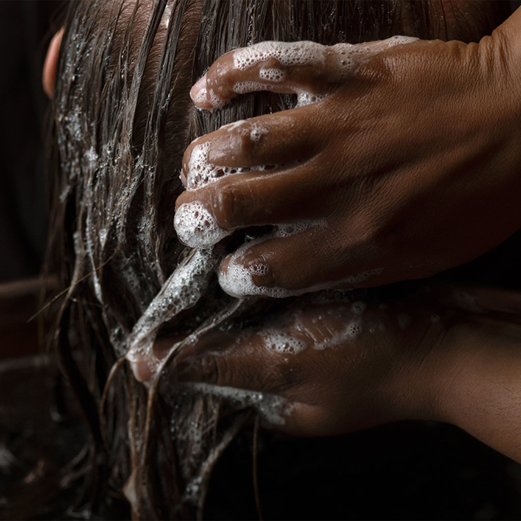 Shampoo