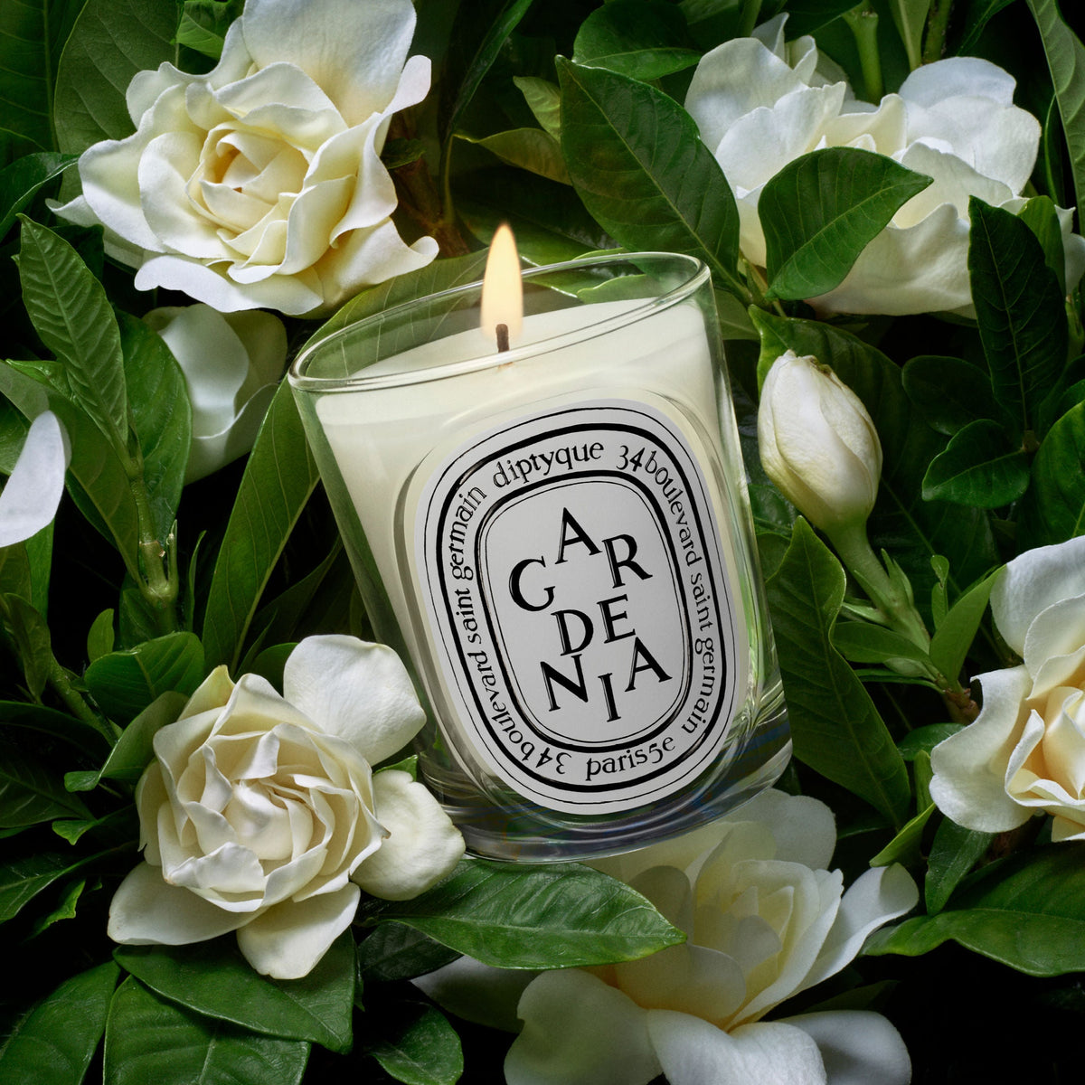 Gardenia Classic Candle