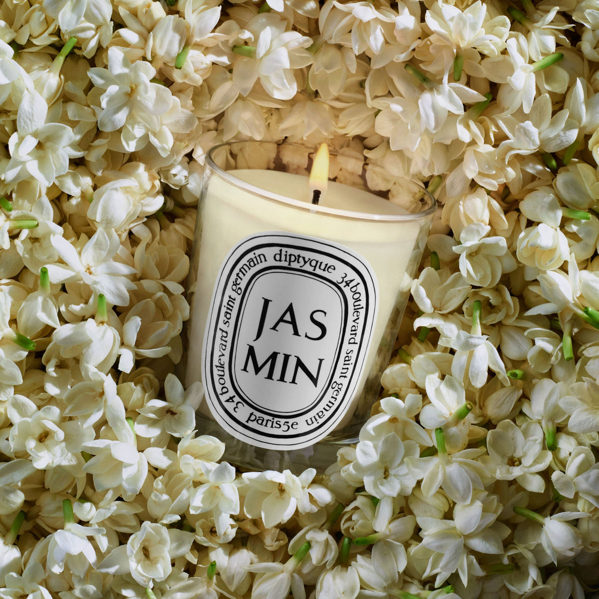 Jasmin (Jasmine) Candle