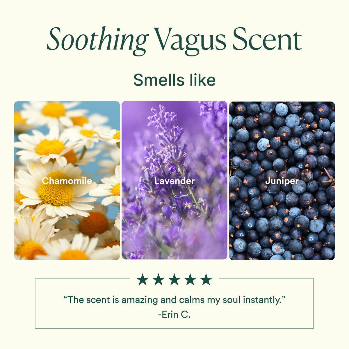 Vagus Nerve Oil
