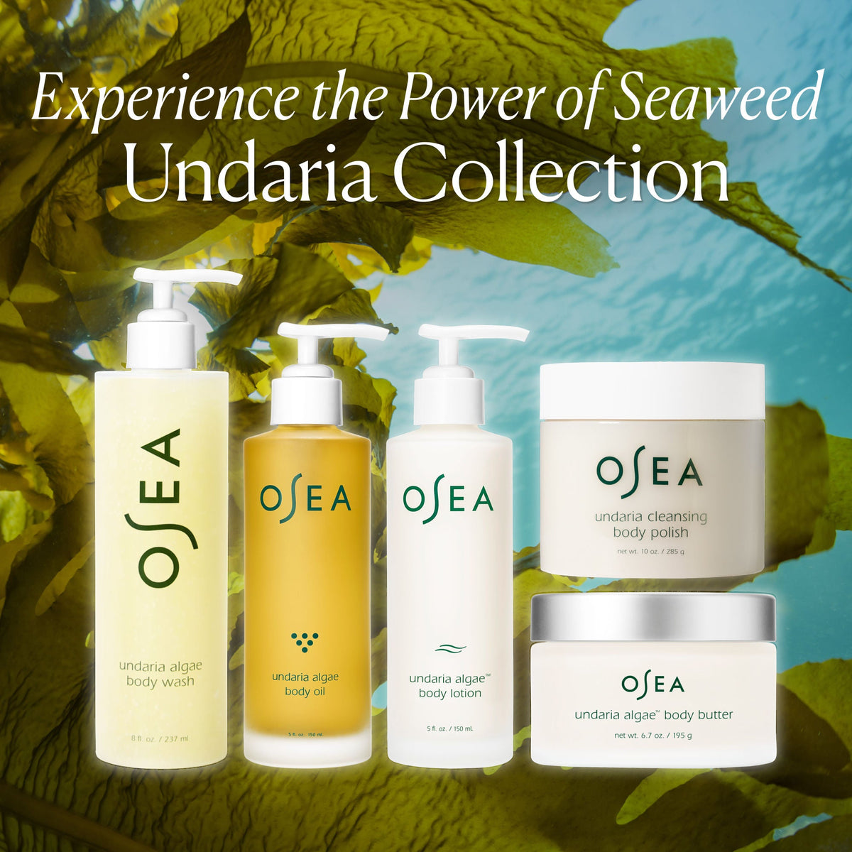 Undaria Algae Body Lotion