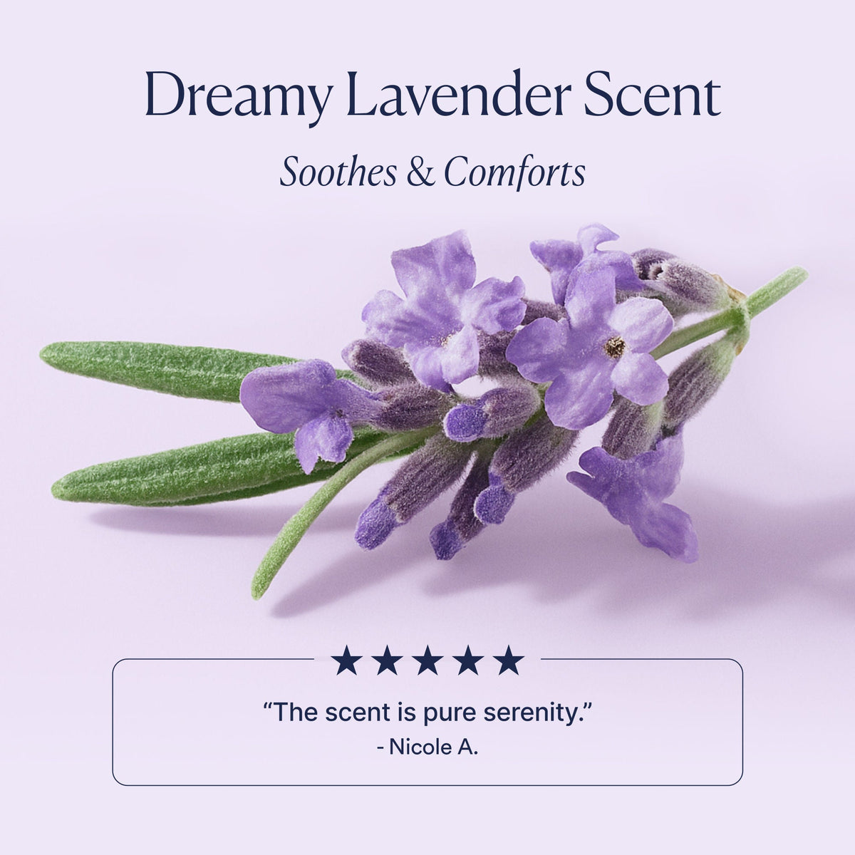 Dream Bio-Retinol Body Serum