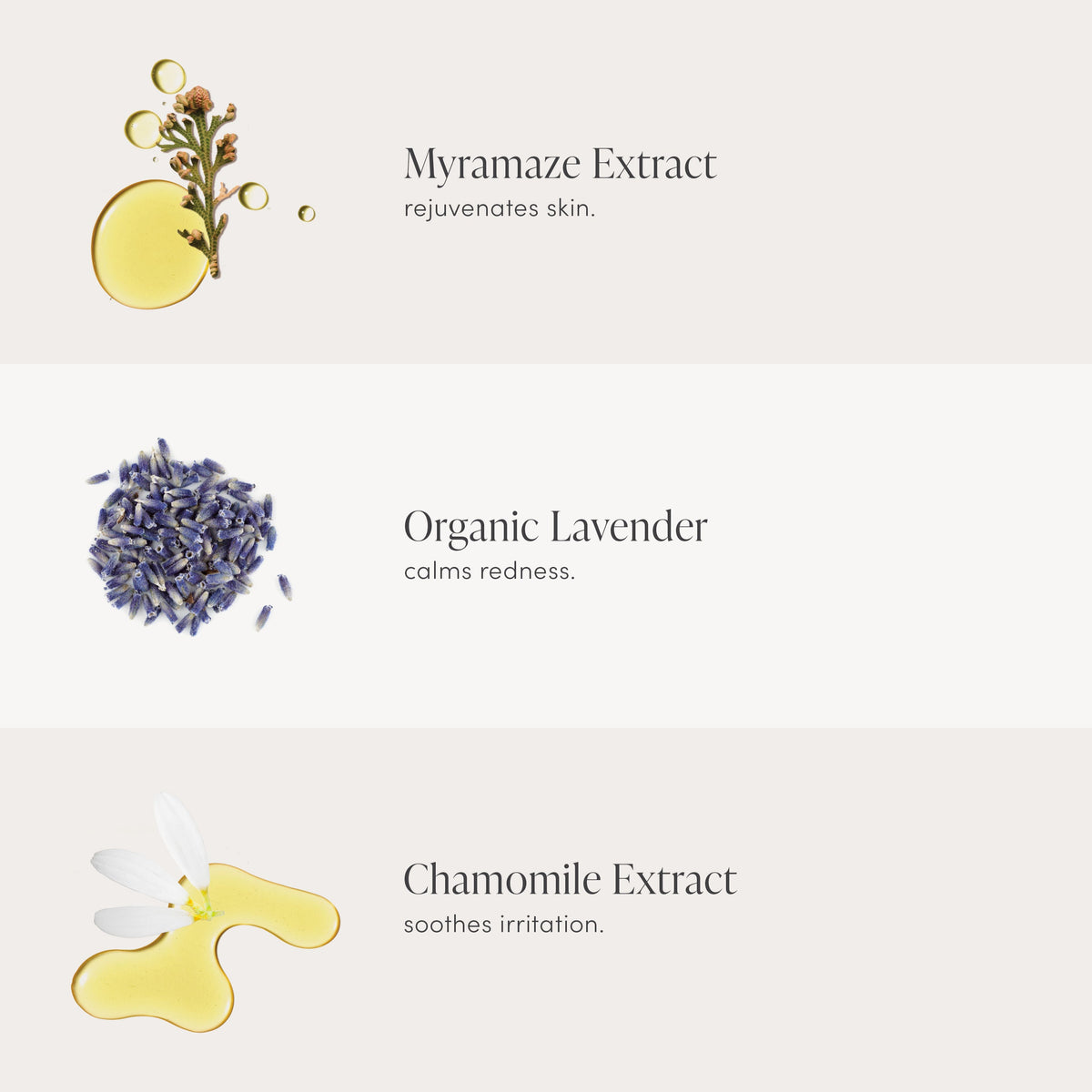 Calming Lavender Hydration Spray