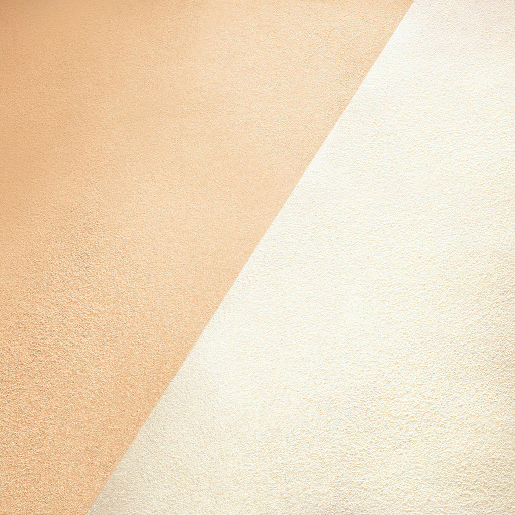 Translucent Loose Setting Powder Glow Brush
