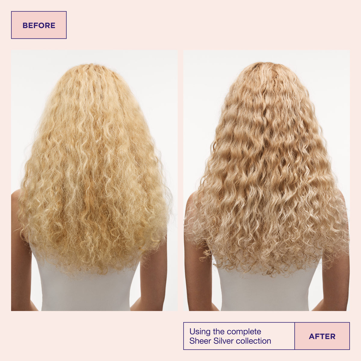 Sheer Silver Masque