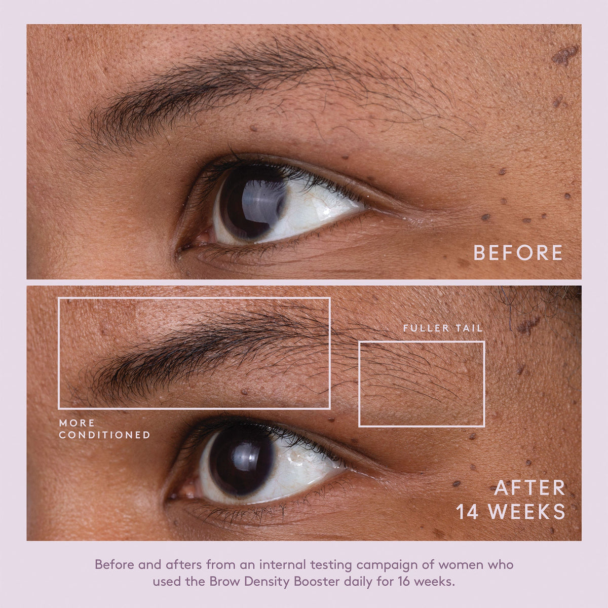 Flourish Brow Density Booster