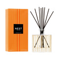 Pumpkin Chai Reed Diffuser (Limited Edition)