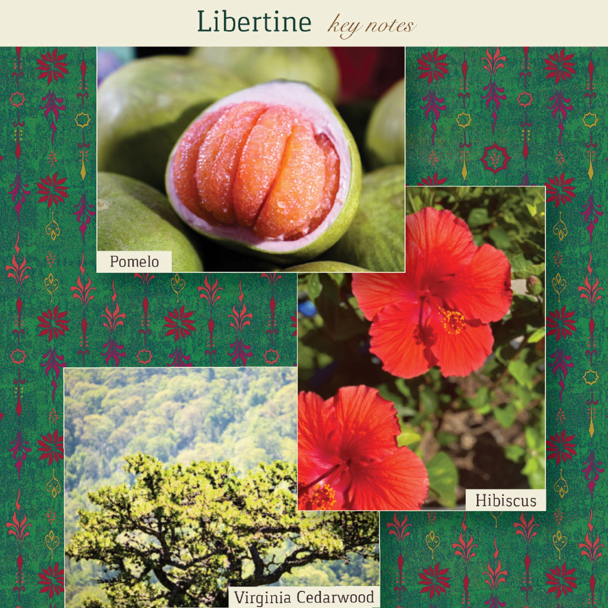 Libertine Eau de Parfum