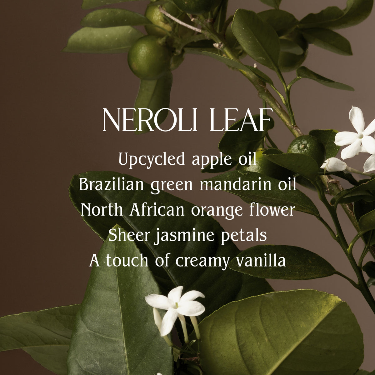 Neroli Leaf Hand Cream