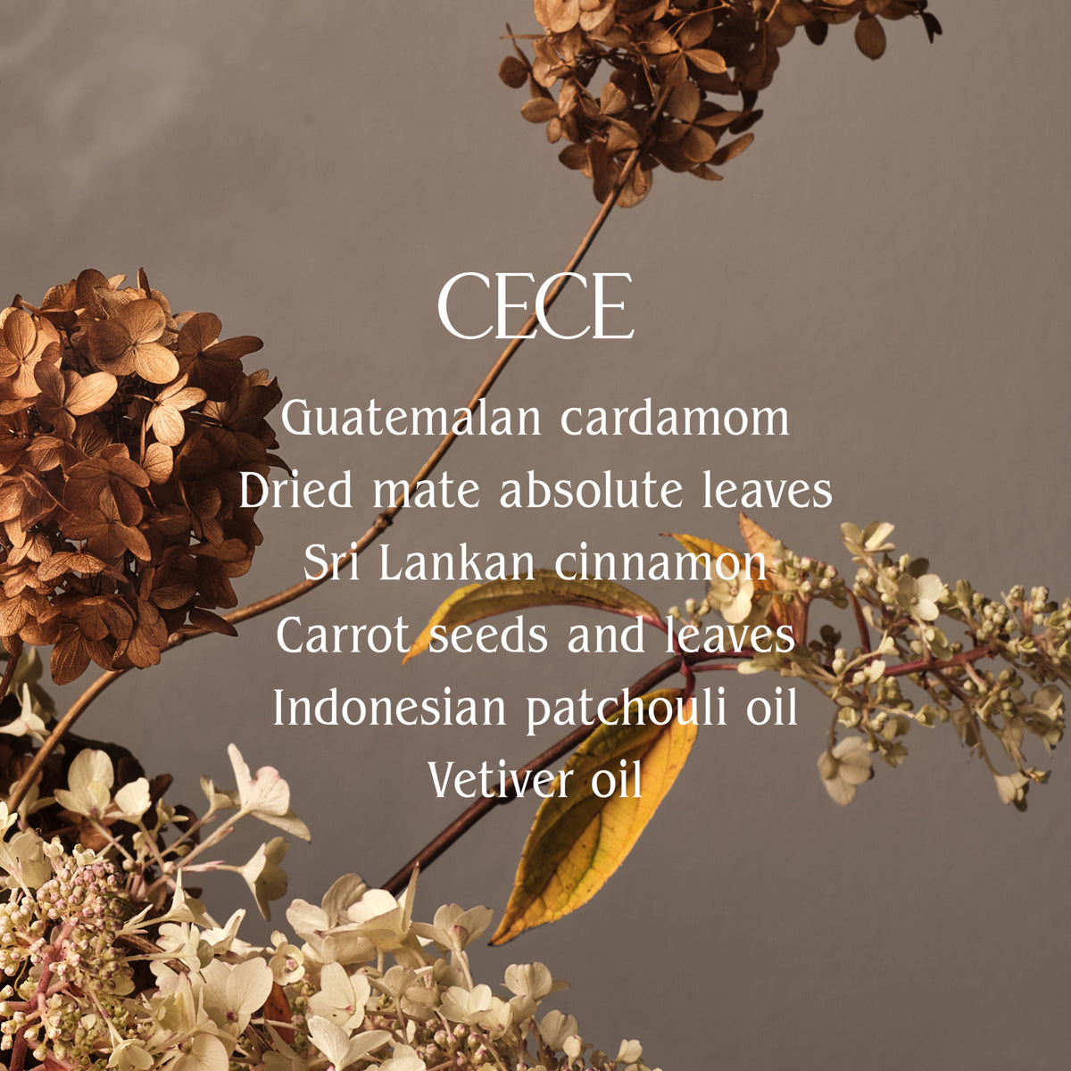 Cece Hand Cream