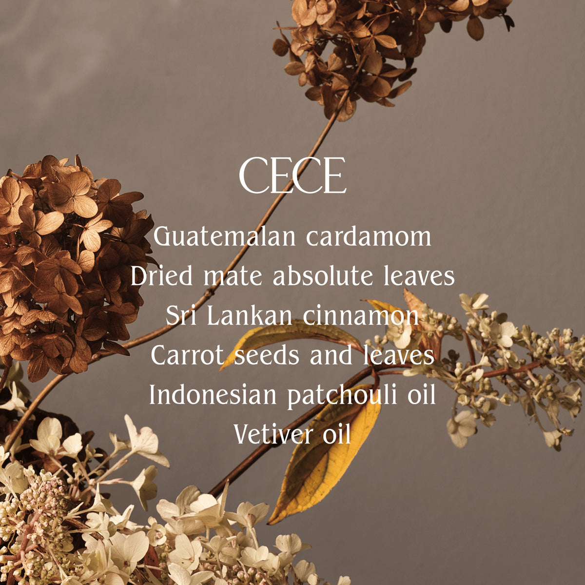 Cece Exfoliating Hand Wash