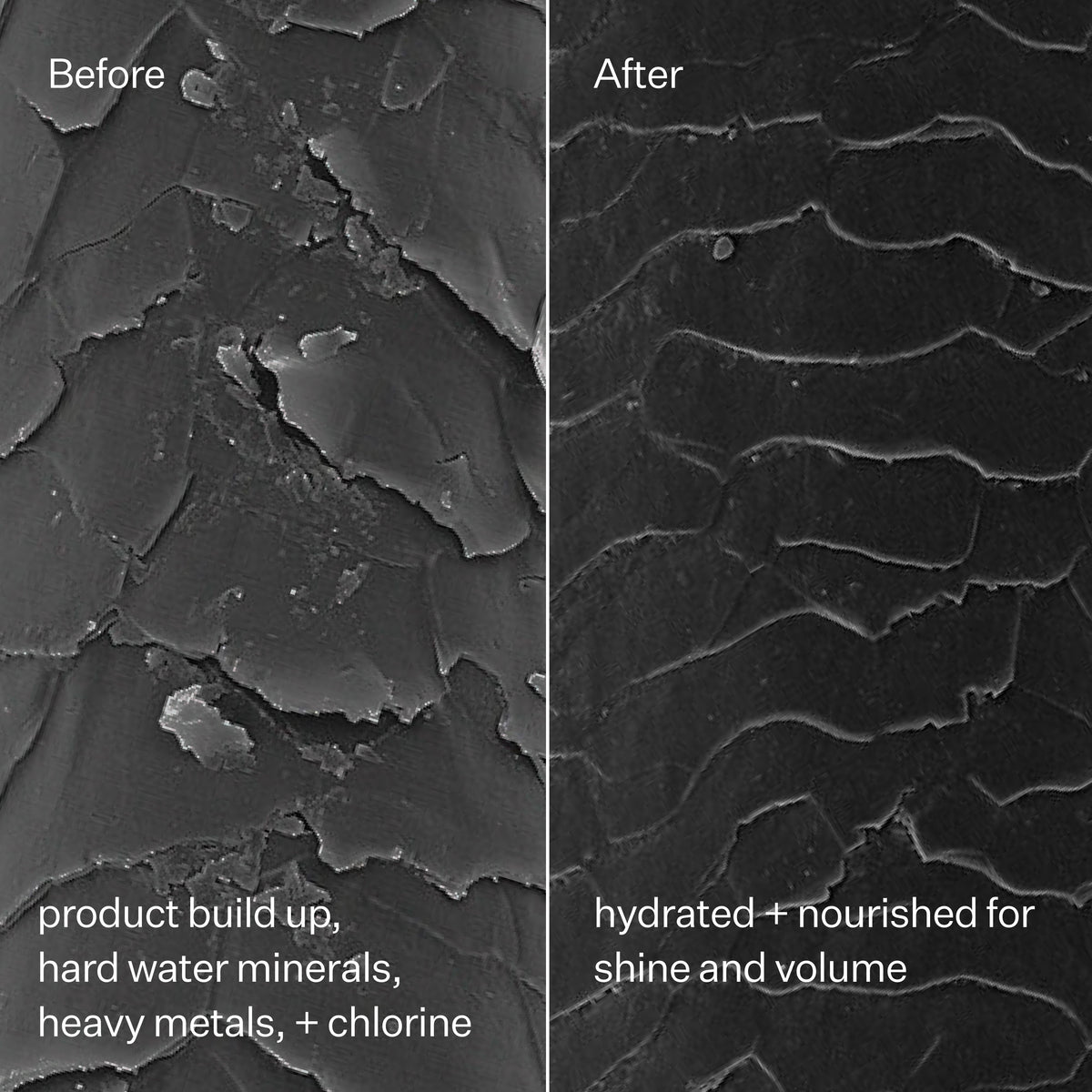 Clarifying Hard Water Shampoo For Scalp + Hair Build-Up