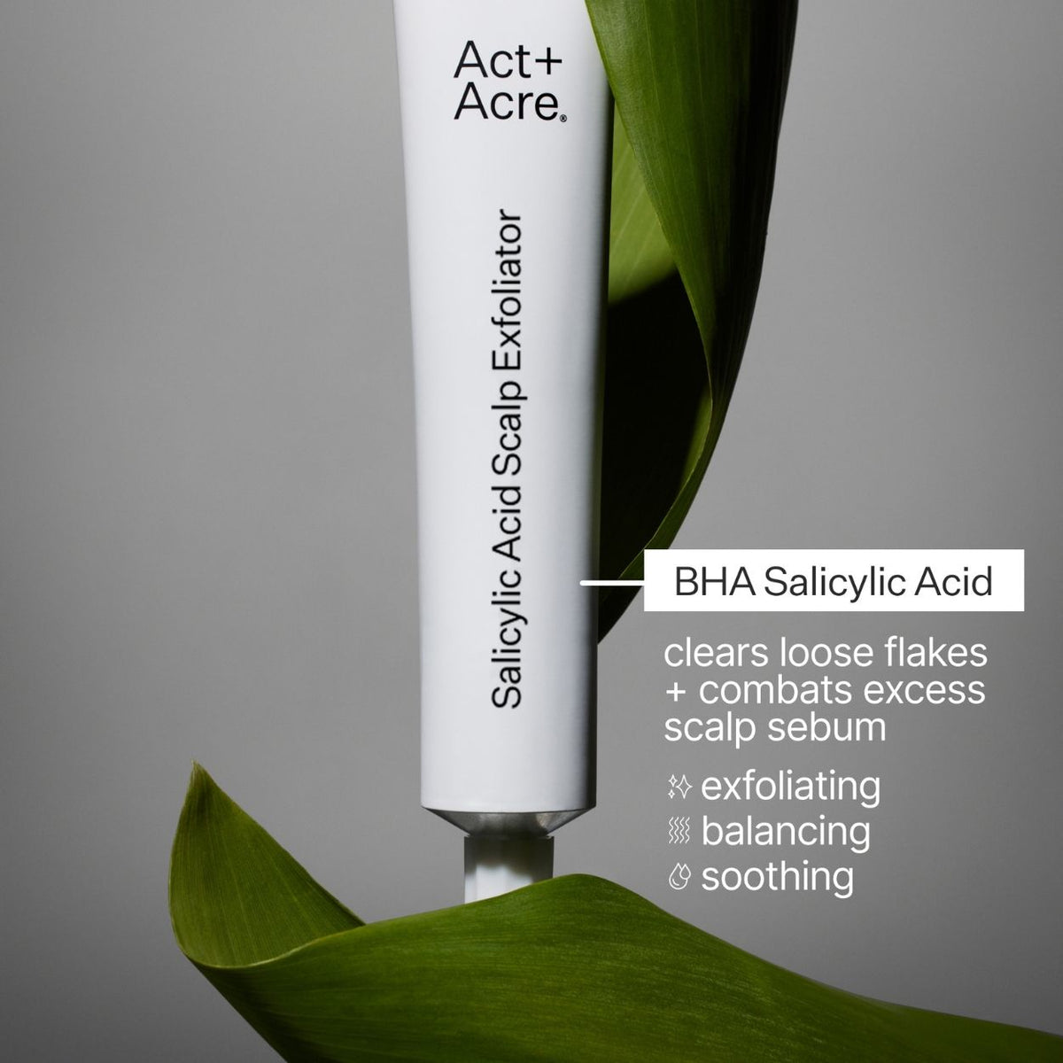 Salicylic Acid Scalp Exfoliator