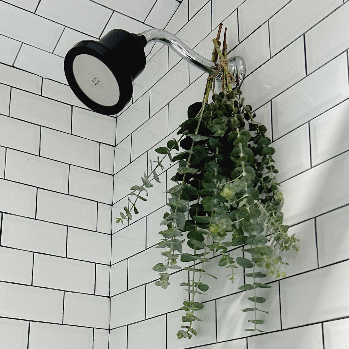 Showerhead Replacement Filter For Healthy Scalp + Hair