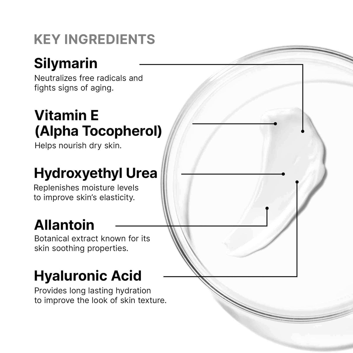 Antioxidant Lip Repair