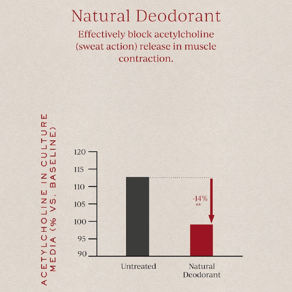 Natural Deodorant - Axilla Orb