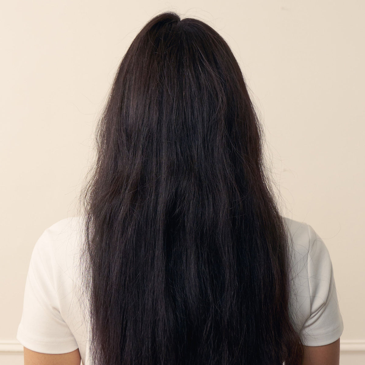 Regenerating Shampoo with Prickly Pear Oil