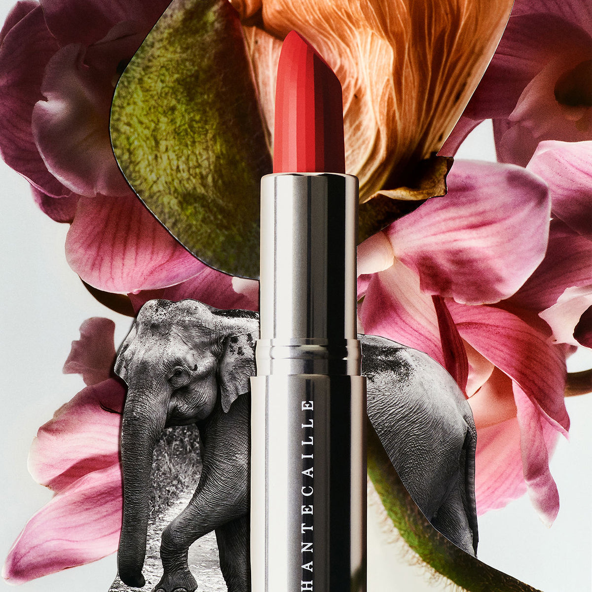 Lip Crème
