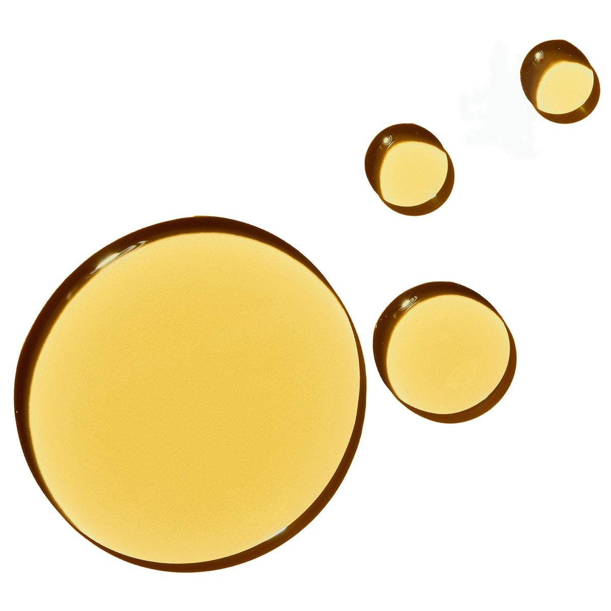 Undaria Algae Body Oil