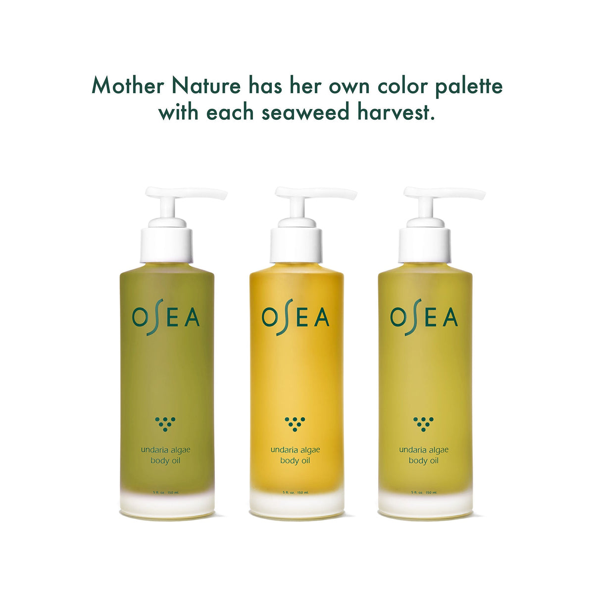 Undaria Algae Body Oil