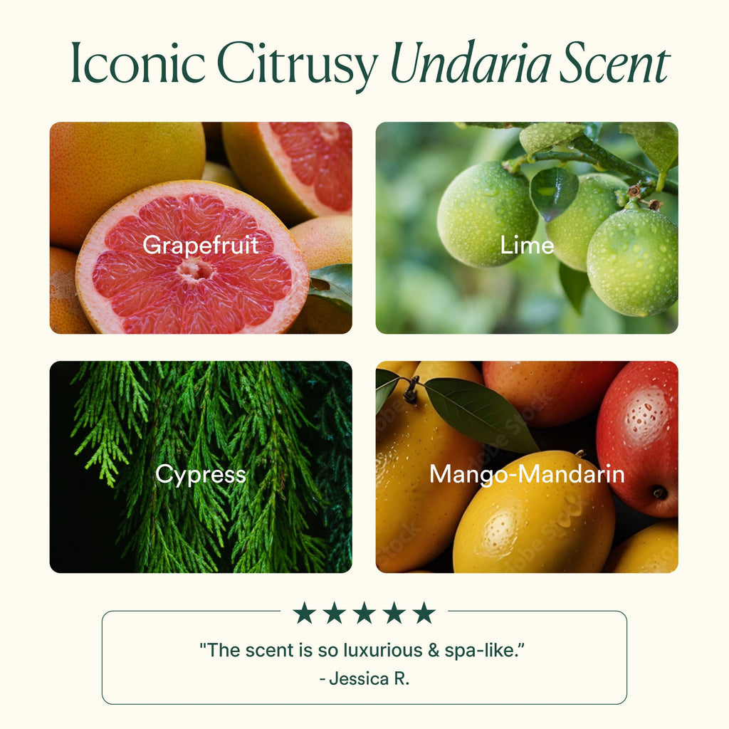Undaria Algae Body Butter