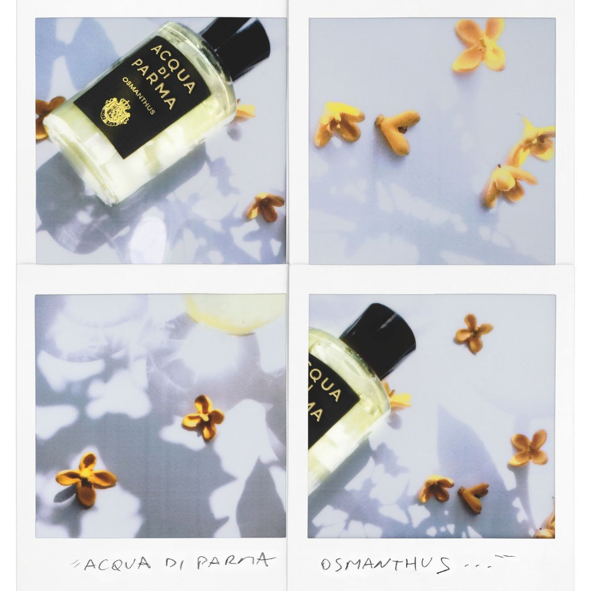 Osmanthus Eau de Parfum