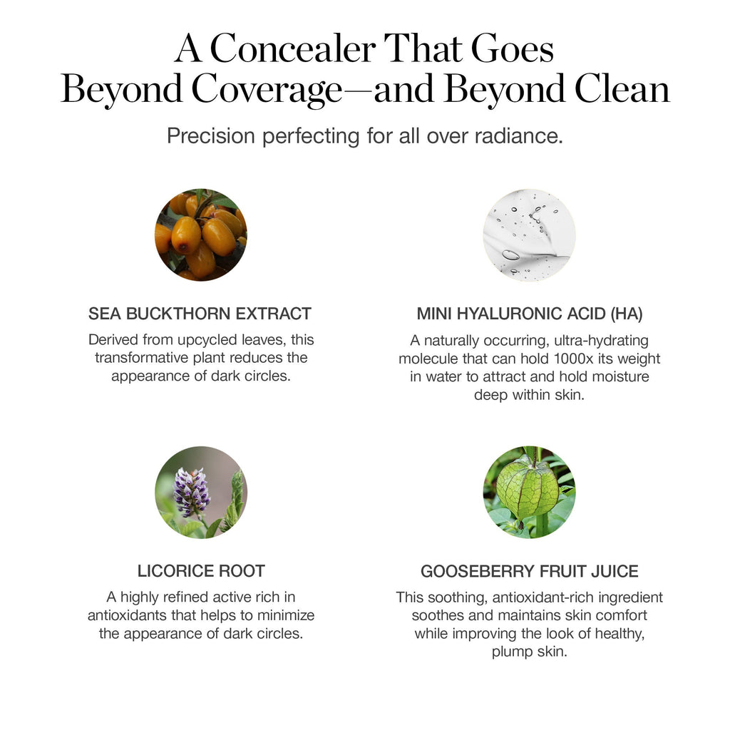 Complexion Perfecting Concealer