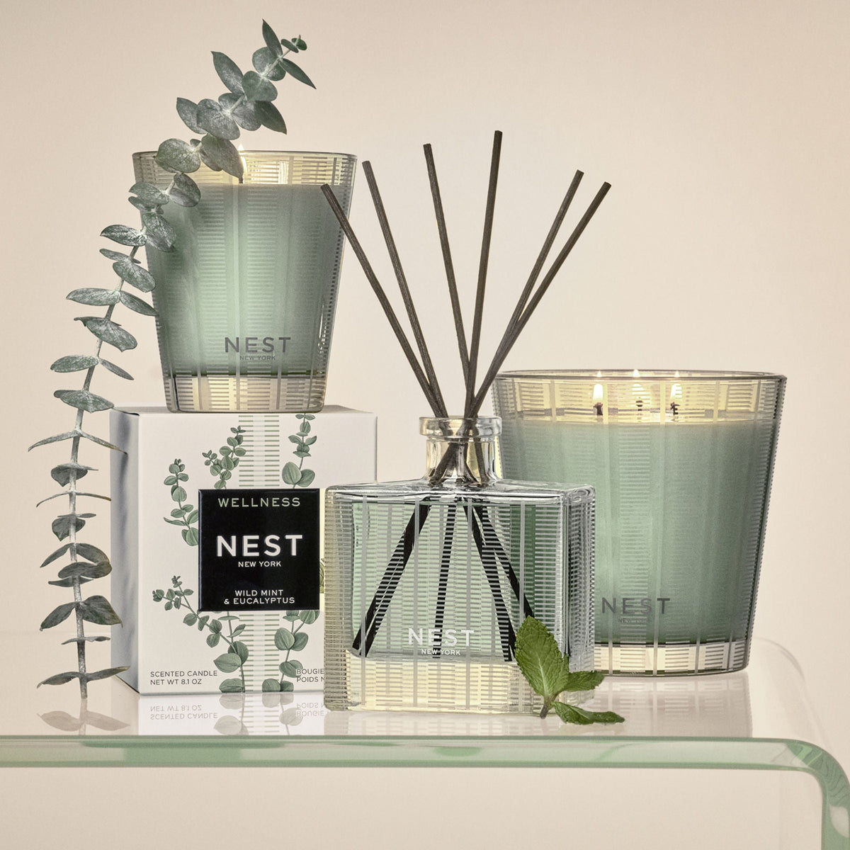 Wild Mint & Eucalyptus Candle