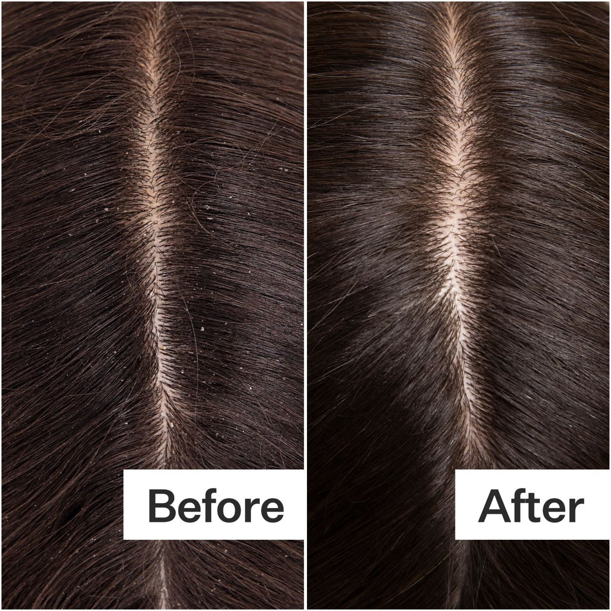 Cold Processed Hair Cleanse Shampoo