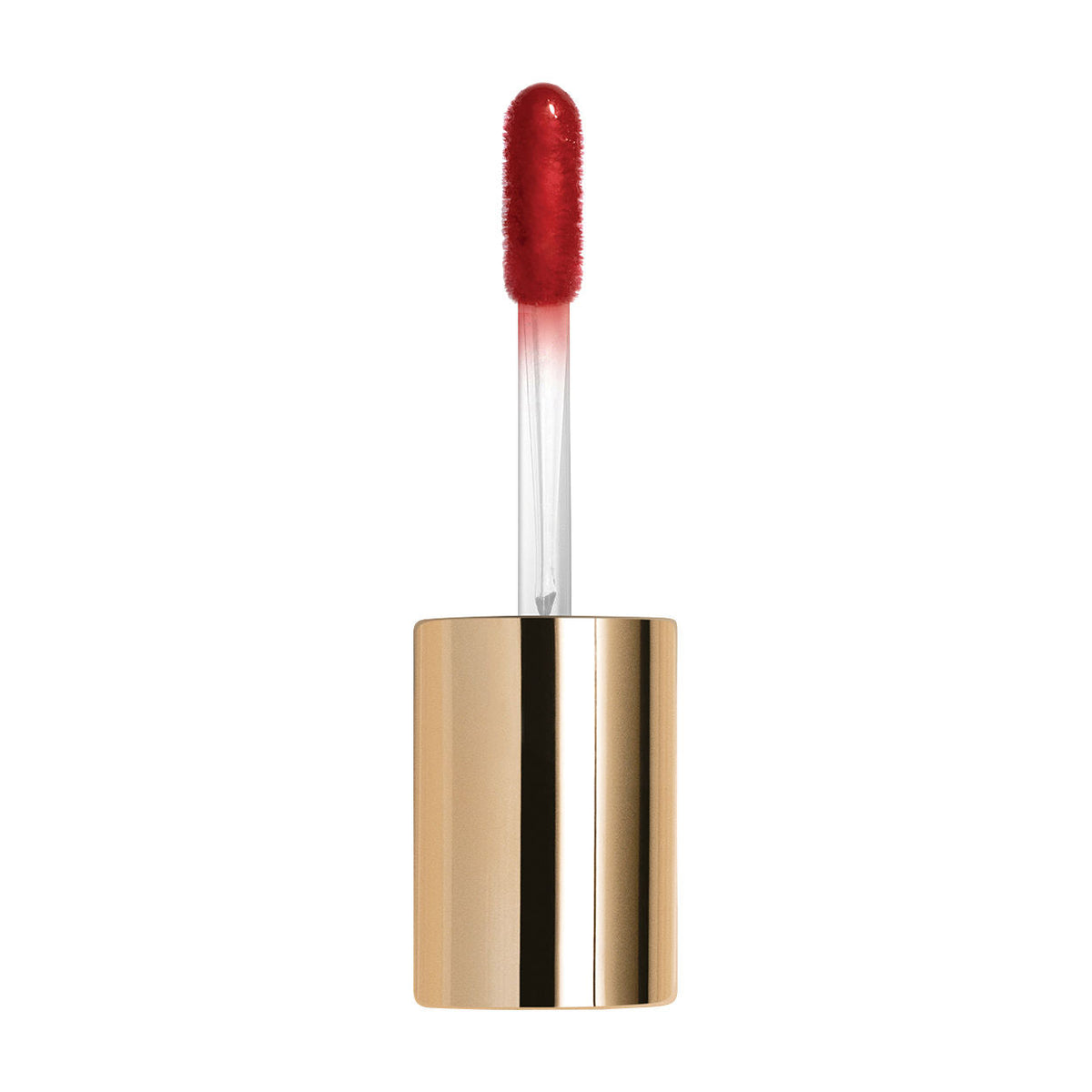Le Phyto Gloss