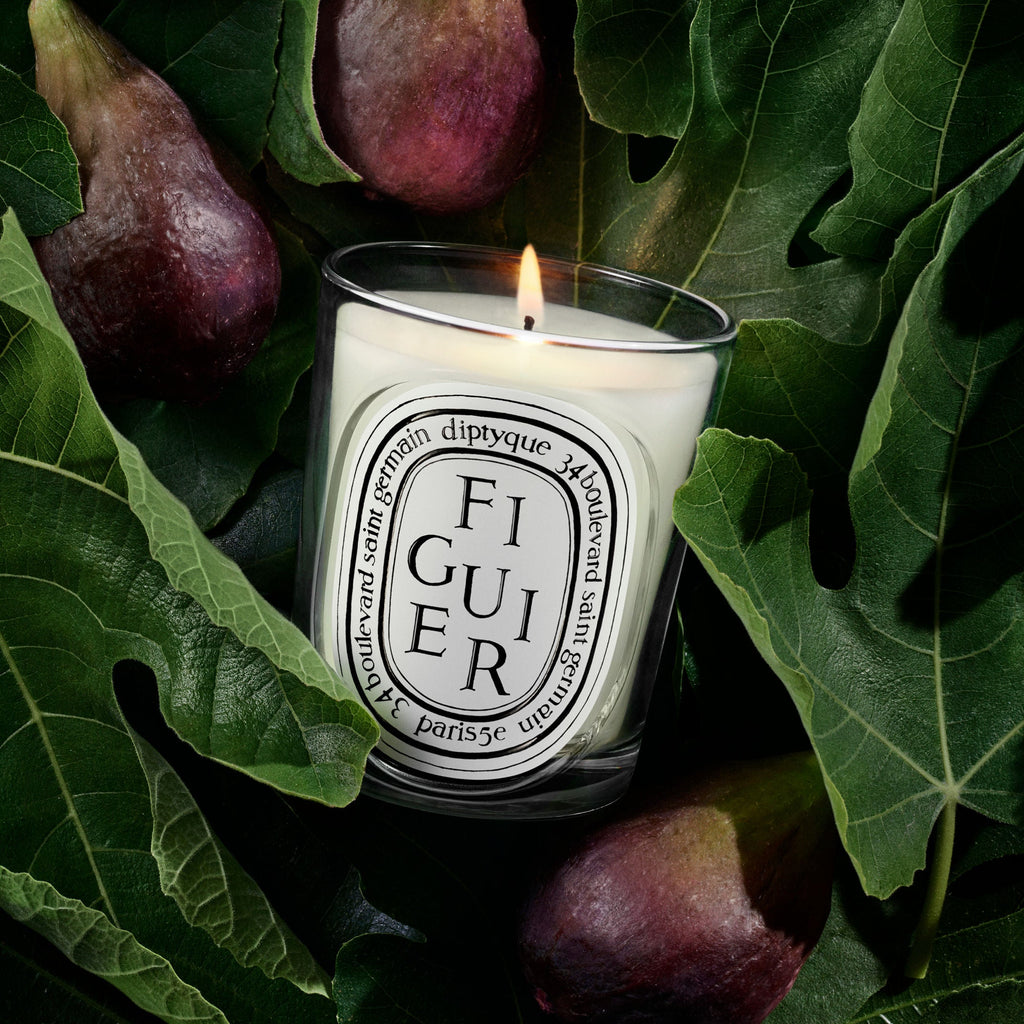 Figuier (Fig Tree) Candle