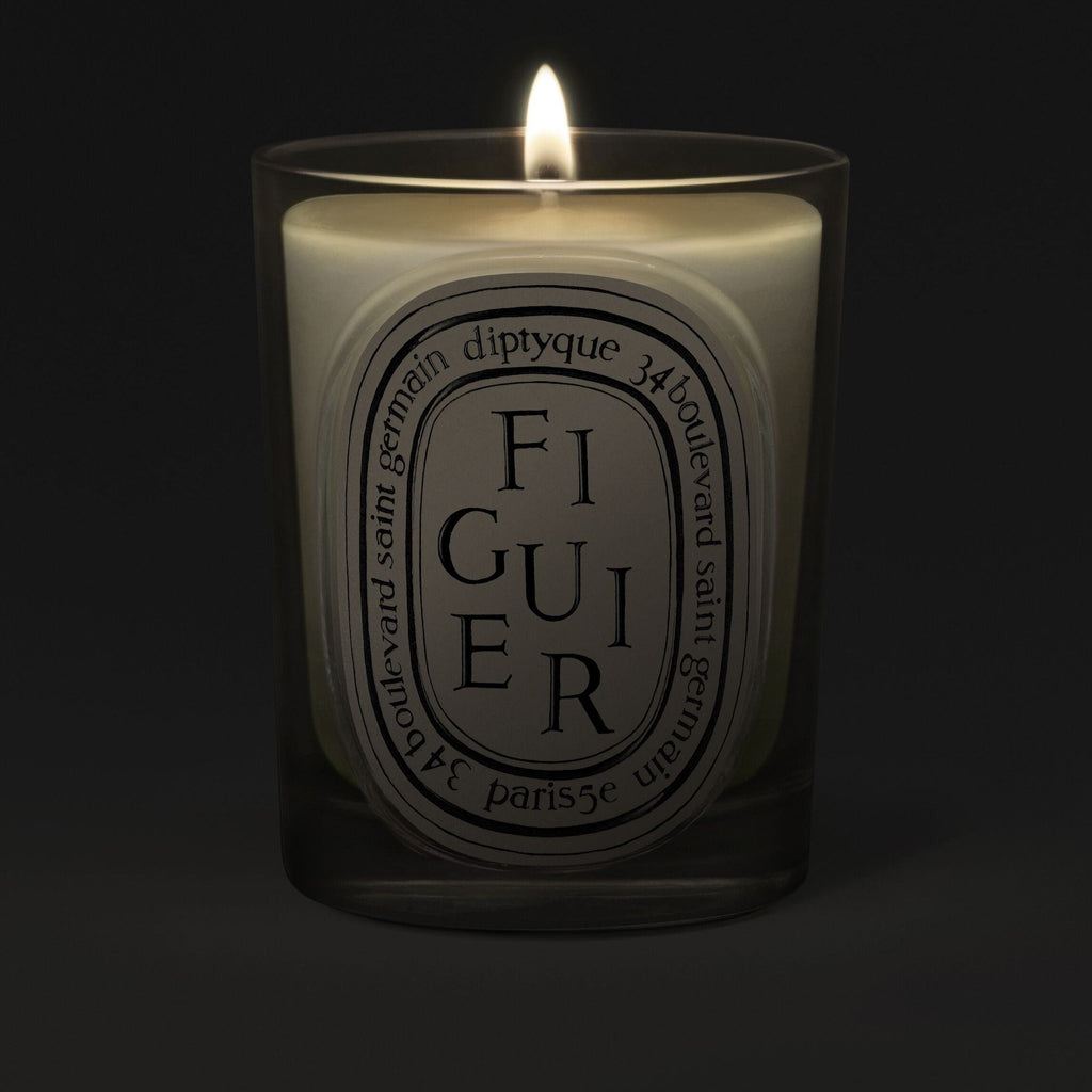 Figuier (Fig Tree) Candle