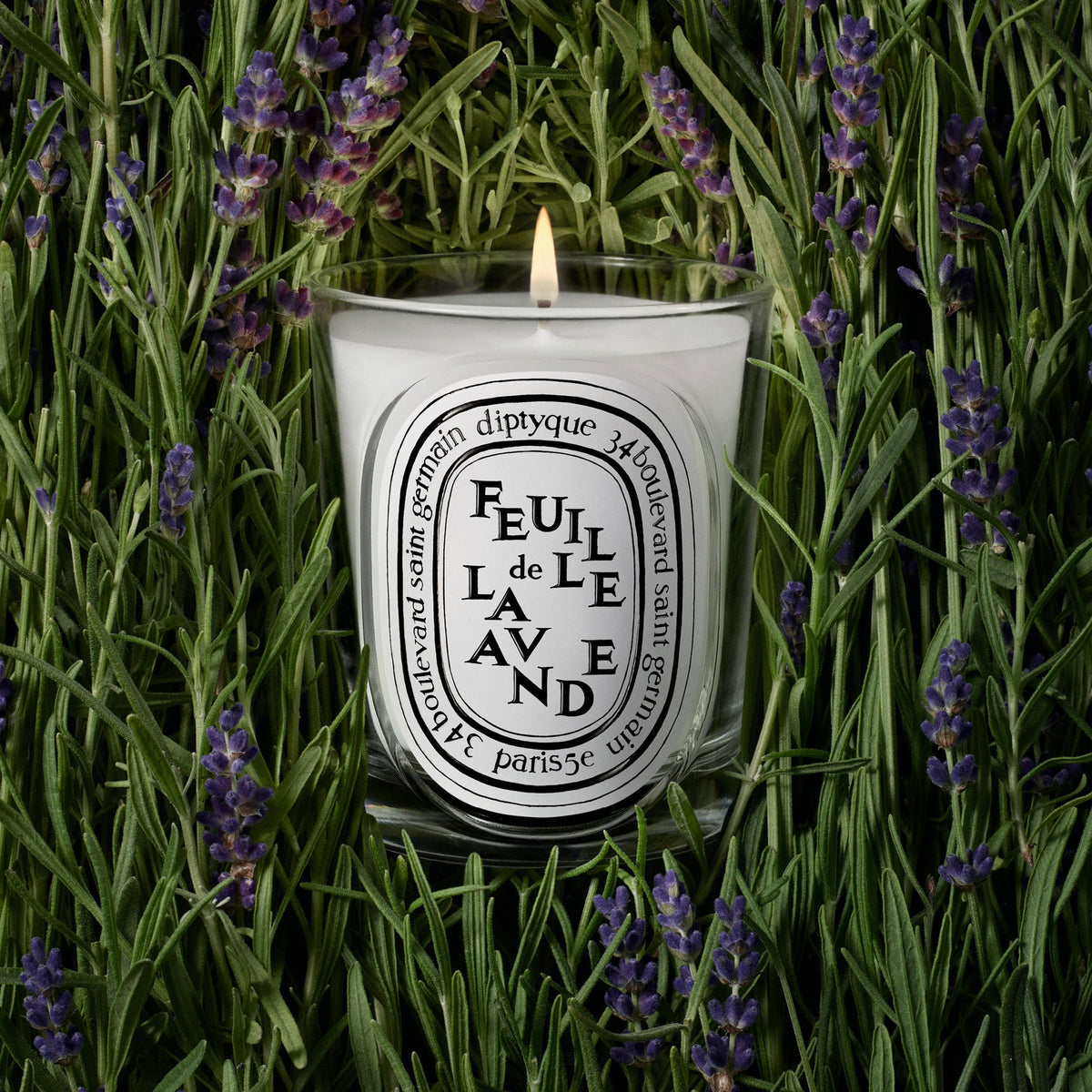 Feuille de Lavande (Lavender Leaf) Candle