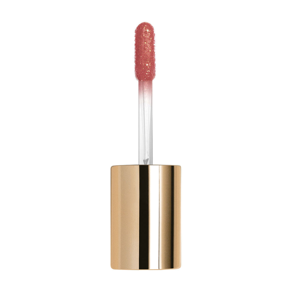 Le Phyto Gloss