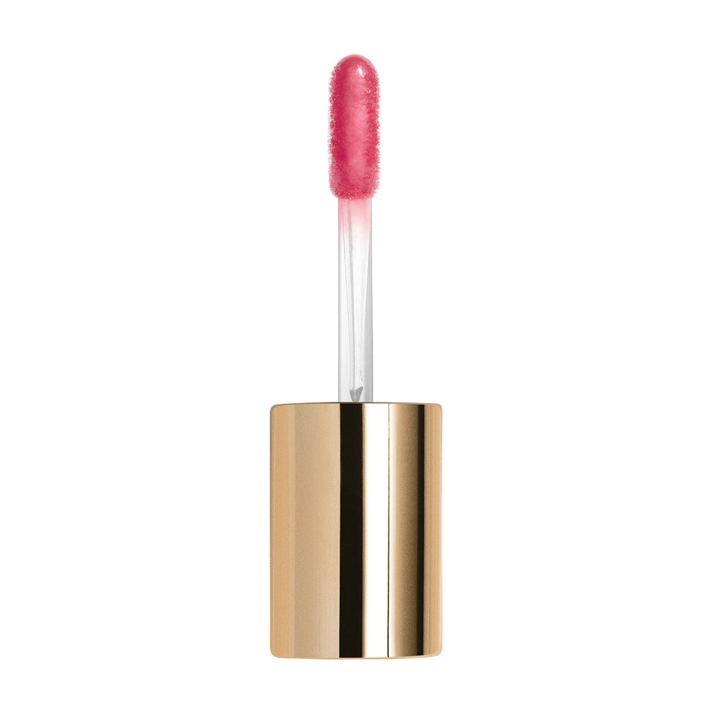 Le Phyto Gloss