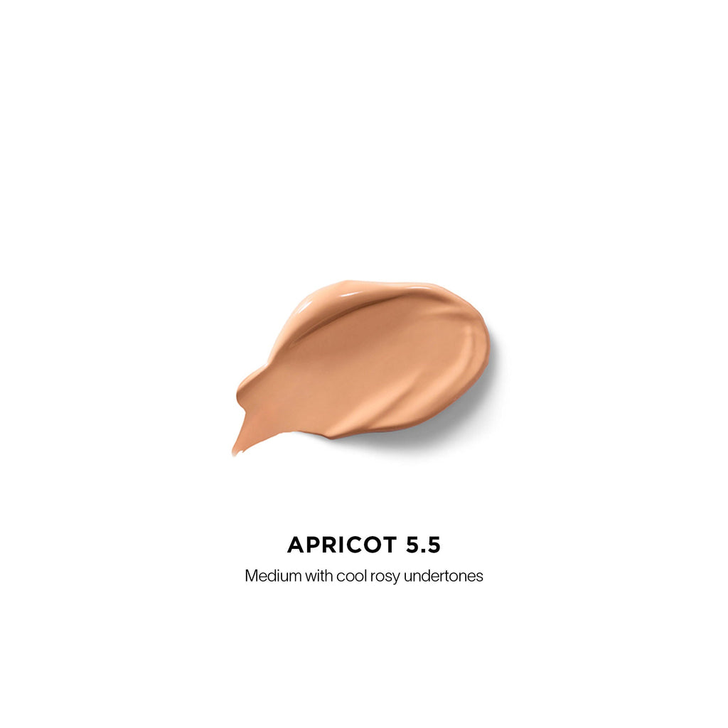 Vanish Airbrush Concealer
