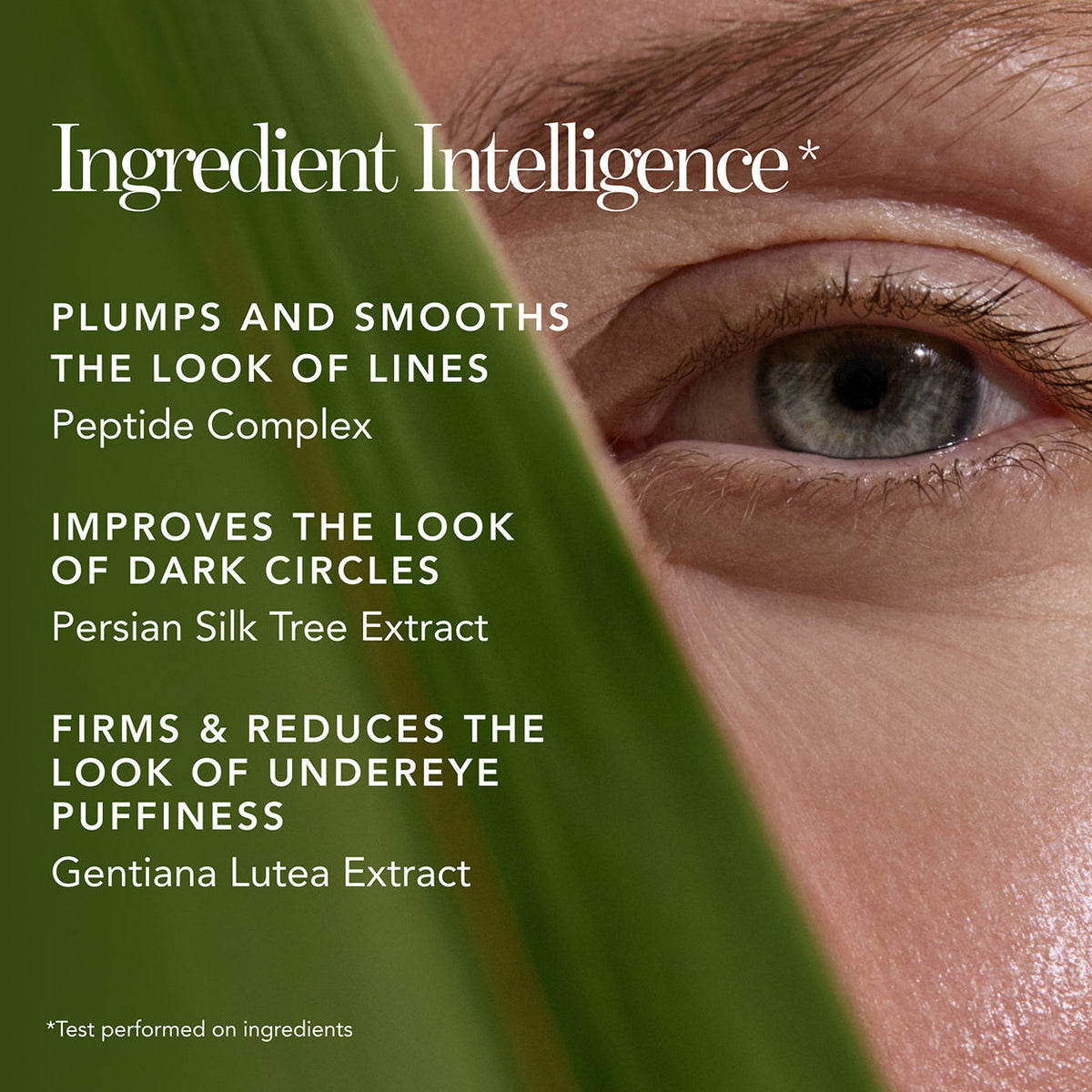 Bio Lifting Hydrating Brightening Concealer with Smoothing Peptides